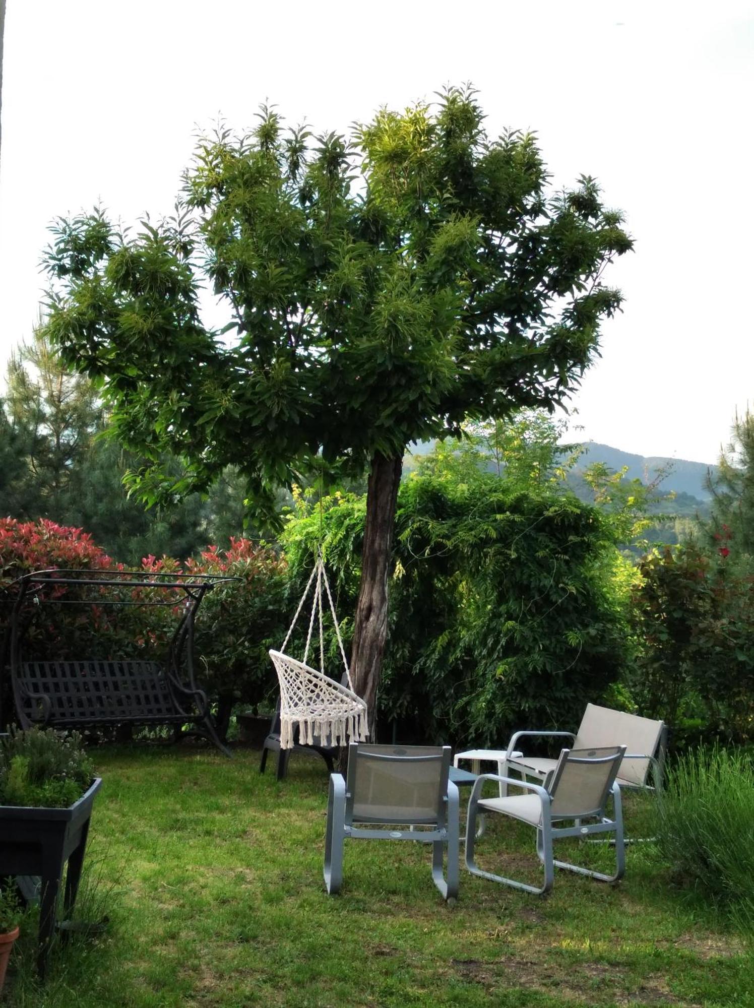 Le Ptit Crouzon Apartment Prades  Exterior photo